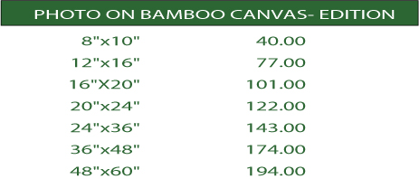 cmcom-PRICE-LIST-eco