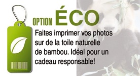 cmcom-eco-PHOTO